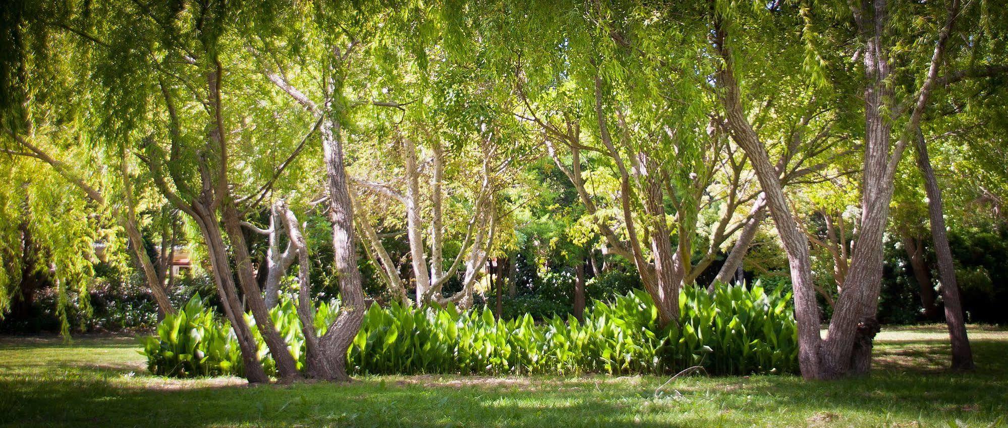 Willowbrook Country House Κέιπ Τάουν Εξωτερικό φωτογραφία